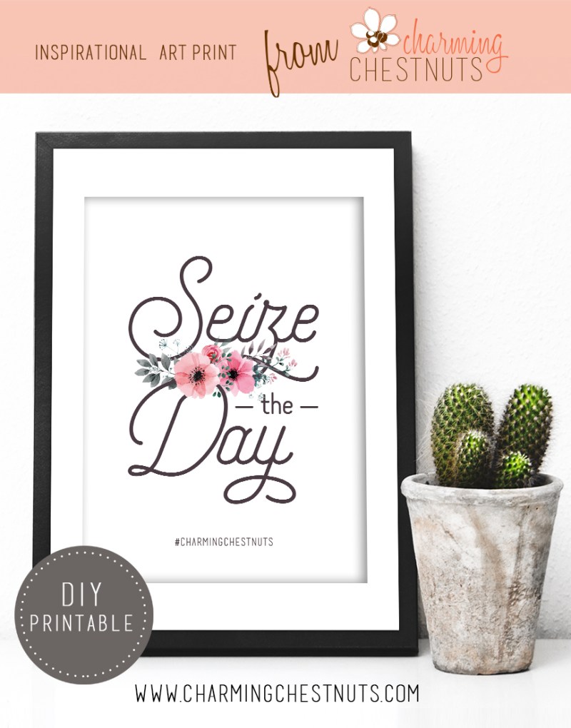 Seize the day - Printable Inspirational quote from Charming Chestnuts